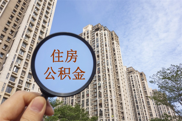 大悟离职多久可以取住房公积金(离职多久后能取公积金) 大悟离职多久可以取住房公积金(离职多久后能取公积金)